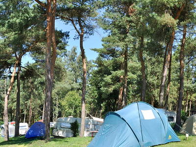 Bild 3 aus  Inselcamp Rügen