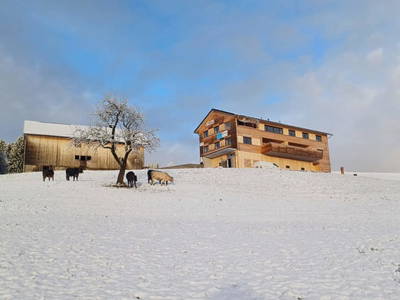 Bild 49 aus  Blickfang Bregenzerwald