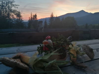 Bild 157 aus  Almchalet Nikola