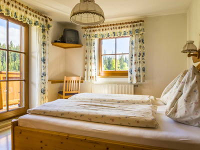 Bild 31 aus  Bauernhof - Leitenhof