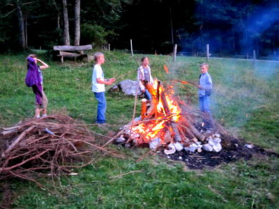 Bild 20 aus Bio-Urlaubshof Dansbach