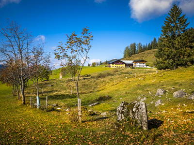 Bild 18 aus  Bio-Bauernhof Lasserbauer