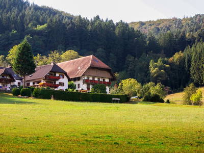 Bild 2 aus  Kempfenhof