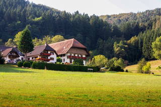 Kempfenhof aus Seelbach