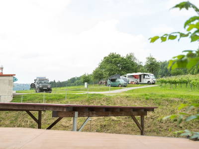 Bild 176 aus  Winzerhof Strablegg