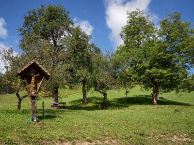 Bild 48 aus  Bio-Bergbauernhof Weger, vlg. Rübenstöffl