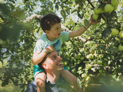 Bild 40 aus  Drittlhof