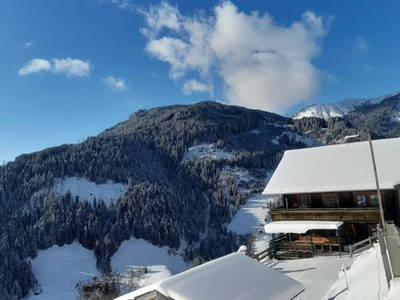 Bild 78 aus  Ferienhaus Pointleitnhof