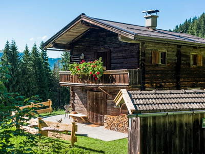 Bild 2 aus  Almhütte Kohlenau