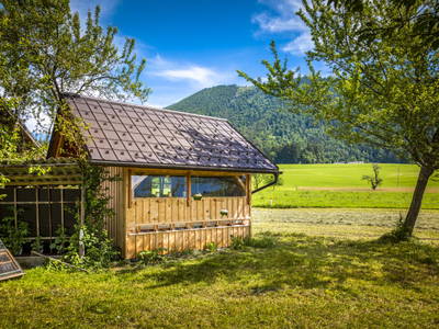 Bild 71 aus  Biohof Untergrabenbauer