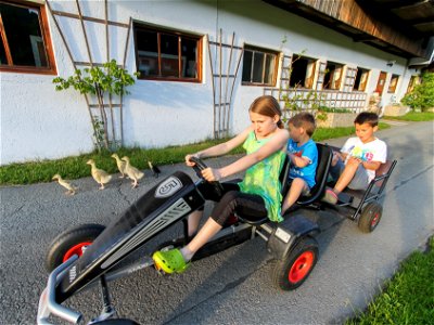 Bild 21 aus Biobauernhof Mittermoos
