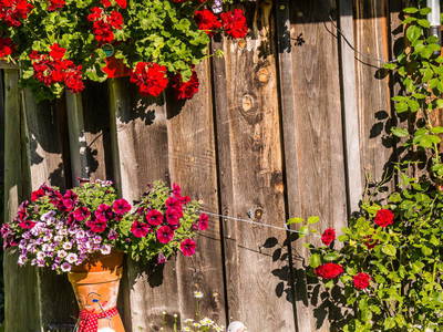 Bild 19 aus  Buchmann Lehen