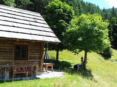 Bild 55 aus  Almhütte Meierle