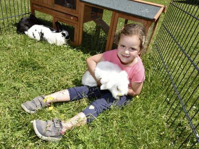 Bild 22 aus  Landhaus Juritsch