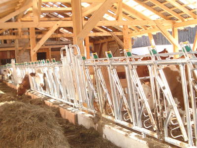 Bild 26 aus  Ferienhaus Reinfrank