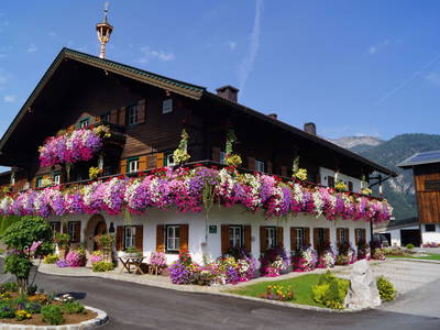 Bild 2 aus  Appartement Thomanhof Baby und Kinderbauernhof