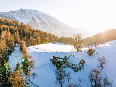 Bild 51 aus  Nestelberg 17