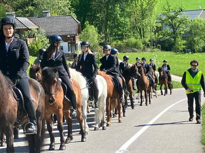 Bild 31 aus Reiterhof Suassbauer