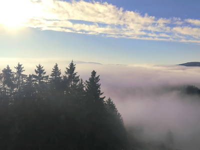 Bild 67 aus  Himmelbauer