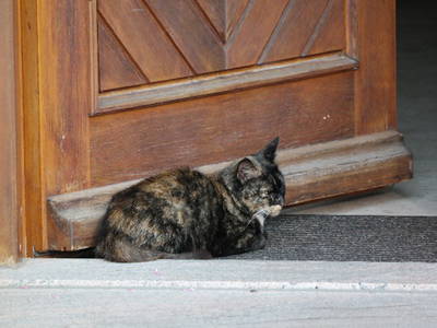 Bild 17 aus  Schreinerhäusle