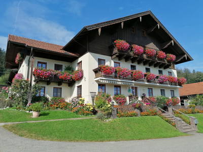 Bild 2 aus  Nussbaumer am Irrsee