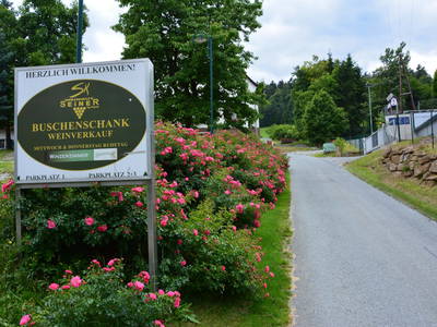 Bild 32 aus  Weingut Seiner vlg.Kraxner