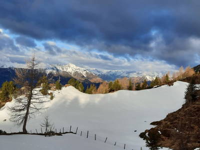 Bild 61 aus  Almhütte Pucher