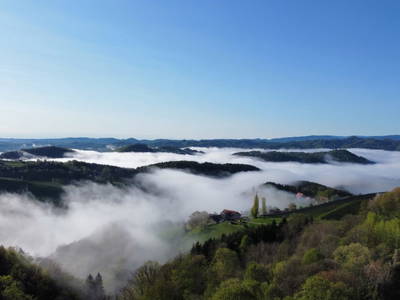 Bild 31 aus  Weingut Stoff