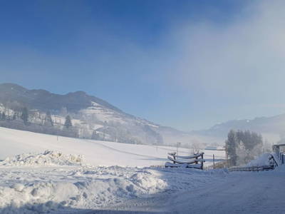 Bild 53 aus  Viehhofgut