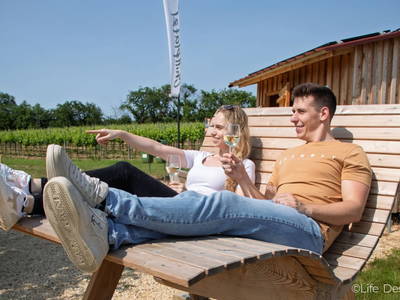 Bild 18 aus  Rebenhof