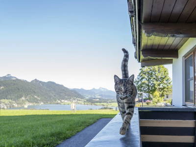 Bild 15 aus  Hagerhof