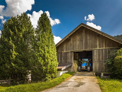 Bild 39 aus  Bio-Bauernhof Obertrattenbachhof
