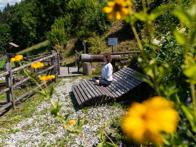Bild 8 aus  Holzblockhütten am Koflerhof