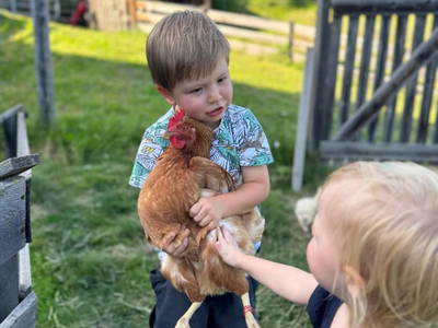 Bild 20 aus  Marteshof