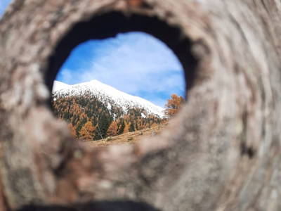 Bild 49 aus  Almhütte Pucher