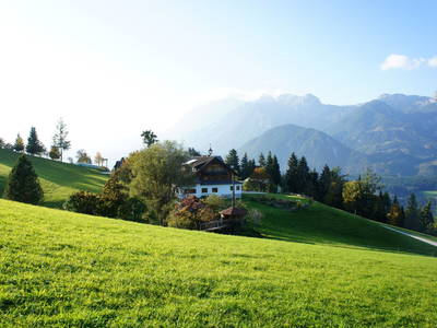 Bild 2 aus  Das DIRTLERGUT