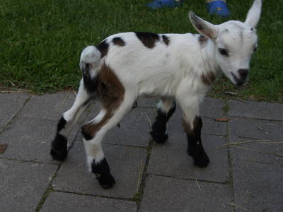Ich bin noch ein bisschen wackelig auf den Beinen!