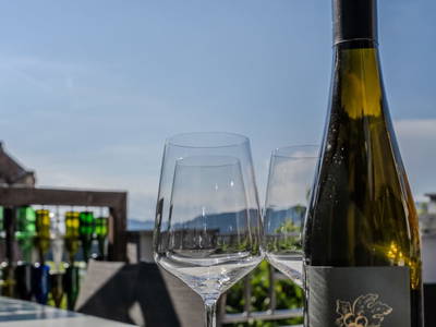 Bild 19 aus Winzerhof Mörtinger
