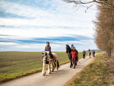 Bild 3 aus  Urlaub am Erlebnishof Strasser