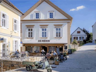 Bild 63 aus Monschein Demeterweingut