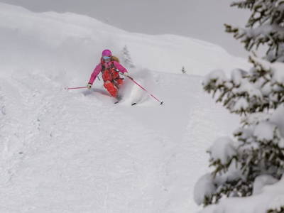 Bild 217 aus  Biohof Seidl