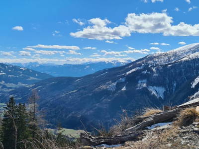 Bild 50 aus  Almferienhaus Truskaller