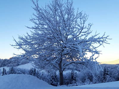 Bild 52 aus  Ferienhaus Untergrünweg