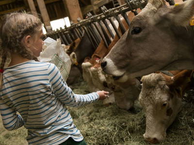 Bild 65 aus  Berghof Burtscher