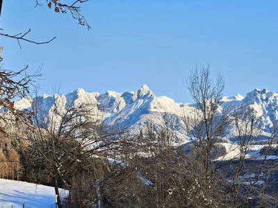 Bild 97 aus  Pfleger Ranch am Schönegg Gut