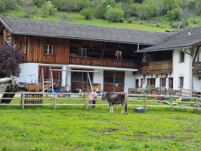 Bild 111 aus  Alfaierhof & Bergheimat