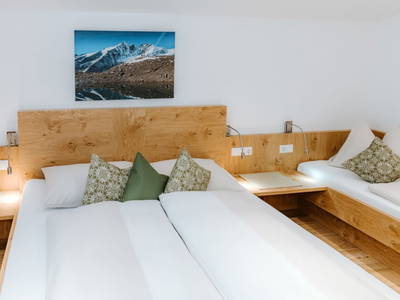Bild 51 aus  Appartement Seppenbauer 