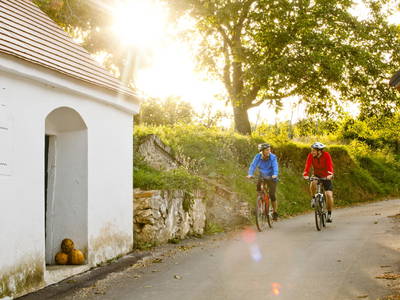 Bild 66 aus  BioWeingut Hauerhof 99