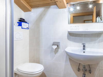 Bild 142 aus  Pesbichl