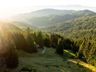 Bild 235 aus  Bischofhütten